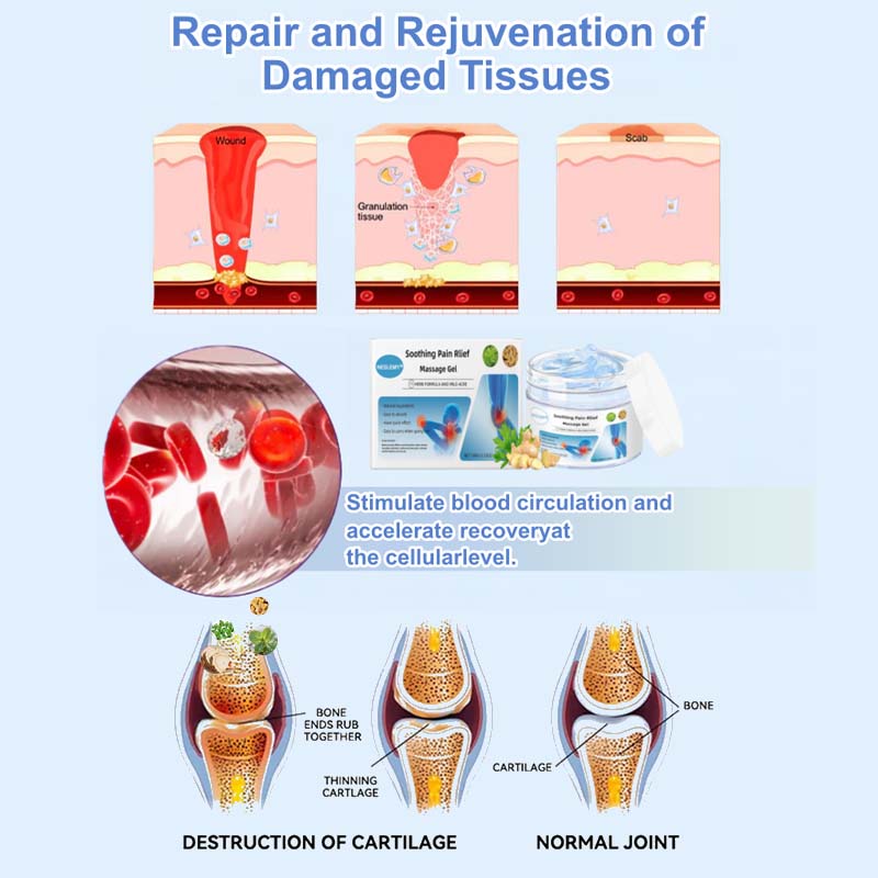 🔥Instant Pain Relief🔥 Joint Relief Gel – Natural Herbal Ointment Wellness