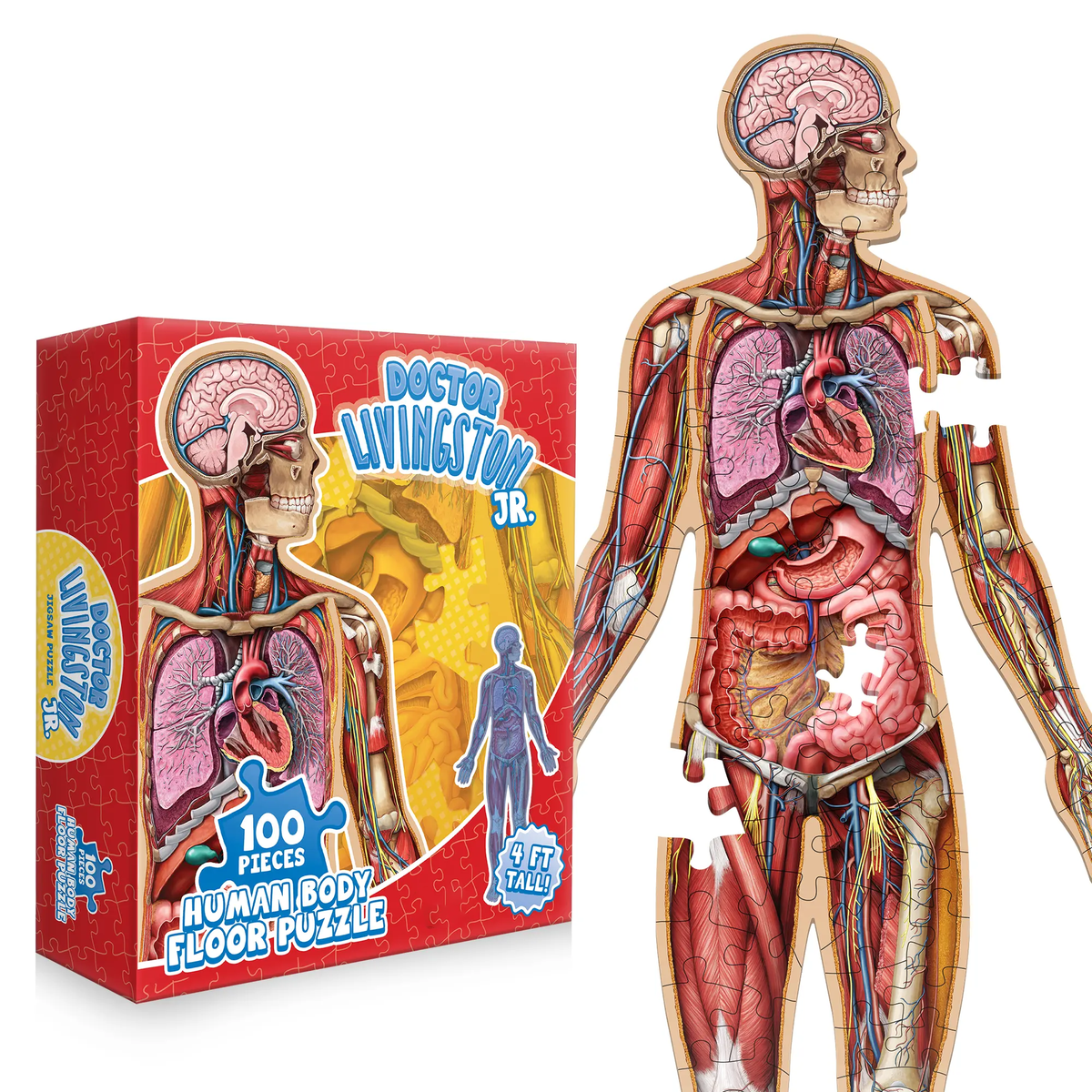 ⏰Last Day Promotion 49% OFF✨Kid's 100 Piece Human Body Floor Puzzle