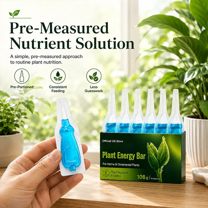 Plant Energy Bar | Boost Your Houseplants Growth Easily