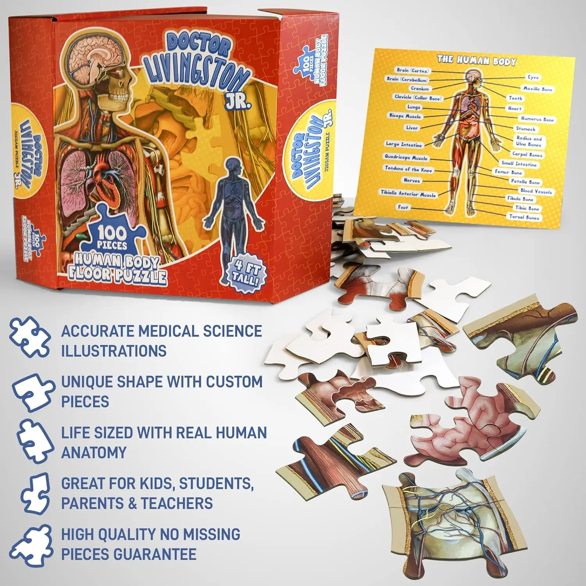 ⏰Last Day Promotion 49% OFF✨Kid's 100 Piece Human Body Floor Puzzle