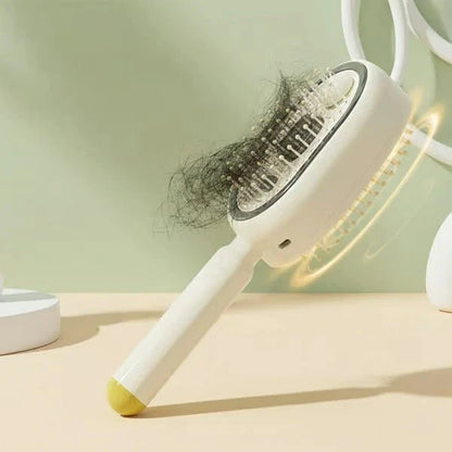 Electric Mist Massage Comb