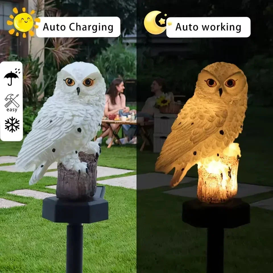 🦉Brighten your garden path today Solar Owl Pathway Light