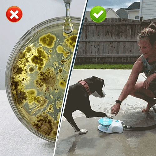 The Ultimate 2-in-1 Outdoor Dog Water Oasis: Paw-Activated Fountain & Splash Pad