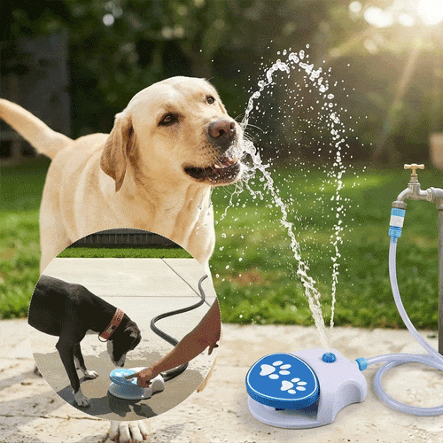 The Ultimate 2-in-1 Outdoor Dog Water Oasis: Paw-Activated Fountain & Splash Pad