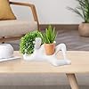 Handmade Plant Pot