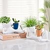 Handmade Plant Pot