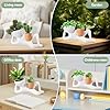 Handmade Plant Pot
