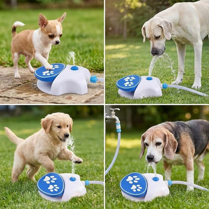 The Ultimate 2-in-1 Outdoor Dog Water Oasis: Paw-Activated Fountain & Splash Pad