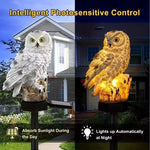 Solar Owl Pathway Light