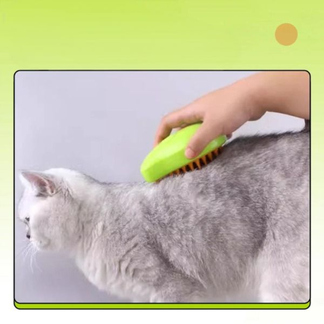 Wasserspray-Massagekamm