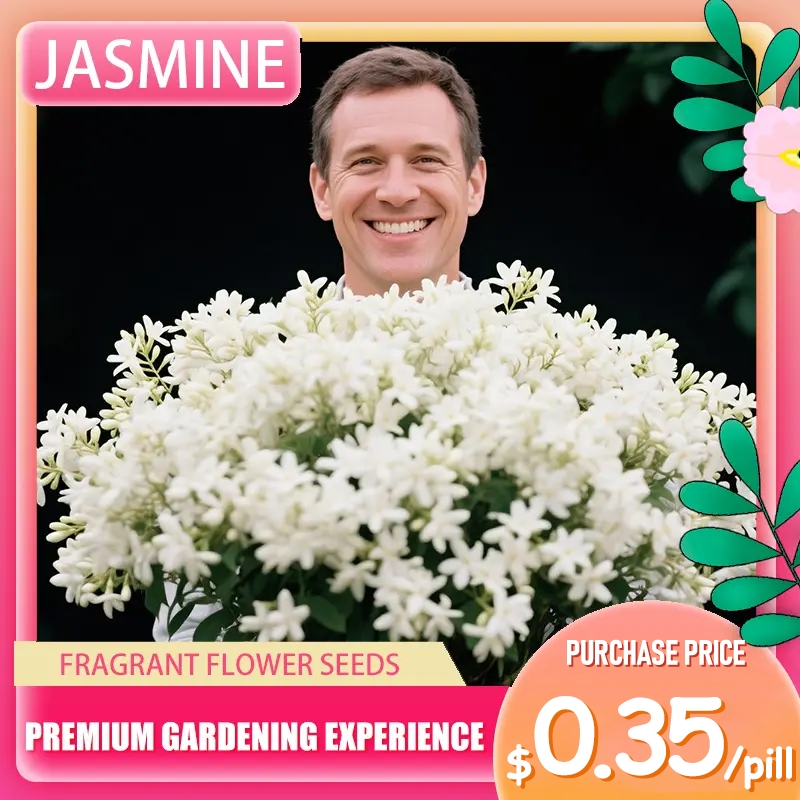 💐 Midnight Perfume -🌼Jasmine Flower Seeds（very easy to grow)
