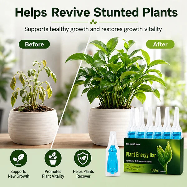 Plant Energy Bar | Boost Your Houseplants Growth Easily