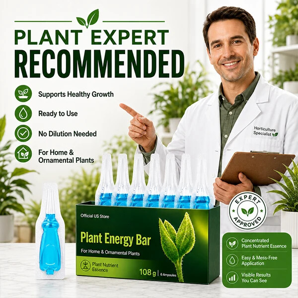 Plant Energy Bar | Boost Your Houseplants Growth Easily