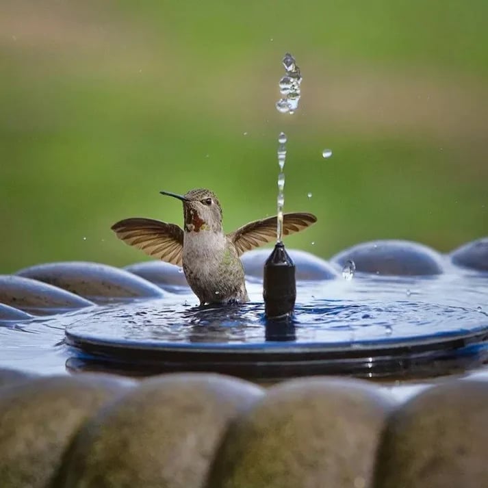 🎁☀️Solar Bird Bath Fountain Pump with 4 Nozzles
