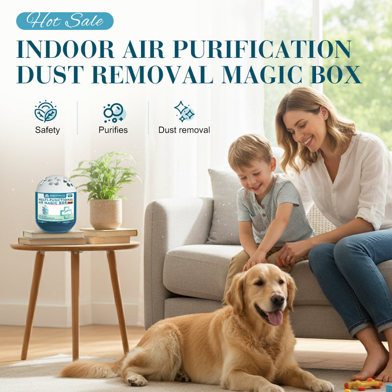 🖤2026 NewYear · 40% OFF🖤Indoor Air Purification Dust Removal Magic Box🏠🌿