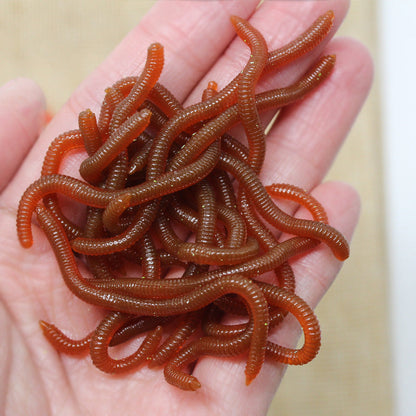 🎣50% OFF! ✨ Simulation Earthworm Soft Fishing Lures – Scented, Lifelike, Durable 🌊